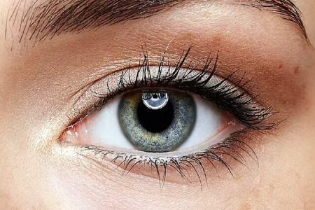 ایجاد بافت چشم ایجاد بافت چشم,سلولهای بنیادی وچاپ سهبعدی