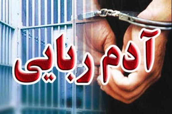 گروگانگیری گروگانگیری,راننده اینترنتی