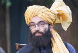 مقام ارشد طالبان,انتقاد از شاهزاده هری ر