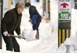 برف و کولاک در ژاپن,کشته شدگان بر اثر بارش سنگین برف در ژاپن