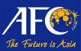 کمیته مسابقات کنفدراسیون فوتبال آسیا,کارگروه مجوز حرفه‌ای AFC