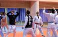 لغو اعزام ملی‌پوشان کاراته ایران به فرانسه,تیم ملی کاراته