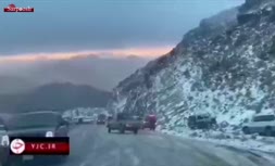 فیلم/ بارش برف در بلندترین کوه عربستان