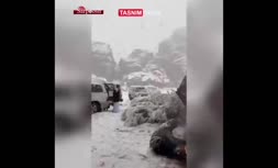 فیلم/ بارش برف در عربستان سعودی