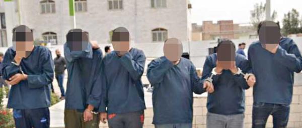 باند حرفه‌ای سرقت, اتهام دستبرد به 48خانه