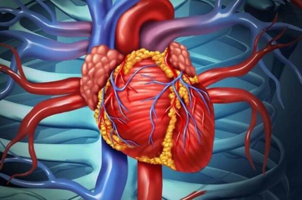 کمک سلامت قلب به کاهش خطر سکته مغزی در میانسالی,قلب
