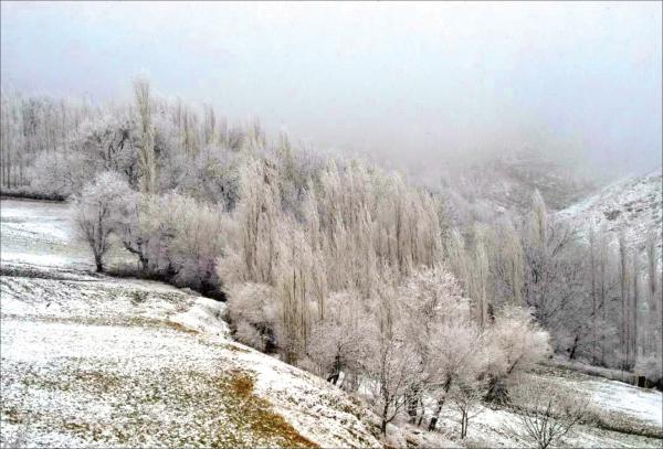 سرما در ایران,وضعیت آب و هوای کشور در بهمن 1401