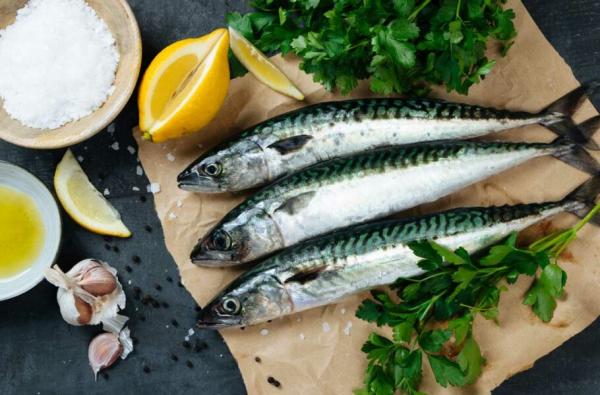 ماهی,کاهش ریسک بیماری‌های کلیوی با مصرف ماهی