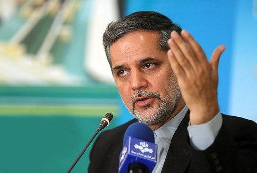 سیدحسین نقوی حسینی,نماینده سابق مجلس