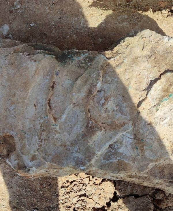 ردپای دایناسور سه انگشتی,خرابه های یک صومعه600ساله