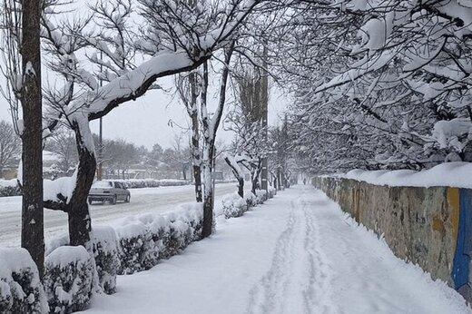 دکتر بهلول علیجانی اقلیم شناس , بارش بی سابقه برف