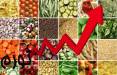 گزارش میدانی از بازار اقلام خوراکی,قیمت مواد غذایی