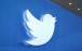 توییتر,برخوردهای شدید با اکانت‌های ناقض قوانین در توییتر