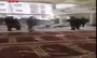 فیلم/ انفجار مسجدی در پیشاور پاکستان با ۳۲ کشته و ۱۵۰ زخمی