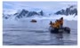 فیلم/ فرار پنگوئن از دست نهنگ قاتل و پناه آوردن به قایق گردشگران