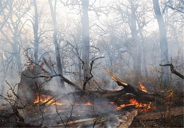 وقوع ۱۰ فقره حریق در جنگل های گیلان,آتش سوزی در جنگل های گیلان