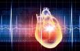 قلب زنان,تاثیر فاکتورهای تولید مثل بر سلامت قلب زنان