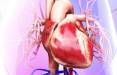 سلول درمانی,سلول درمانی راهی برای مبارزه با نارسایی قلبی