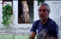 فیلم | «علیرضا شهرداری» تیمارگر پیروز: همه تلاشم را برای او کردم اما عده‌ای دنبال له کردنم بودند 