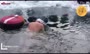 فیلم/ شکستن رکورد جهانی شنا زیر یخ با حبس نفس
