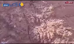 فیلم/ مشاهده 3 قلاده پلنگ در آرادان