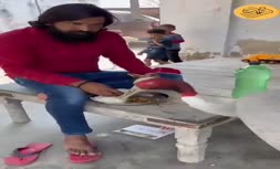 فیلم/ رابطه دوستانه باورنکردنی یک مرد با لک‌لک