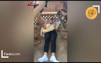 فیلم/ ماساژ عجیب توسط مارهای پیتون زنده!