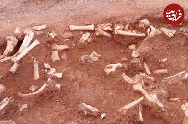 استخوان40هزارساله,لباسهای چرمی