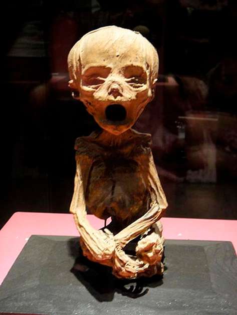مومیایی,موزه در مکزیک