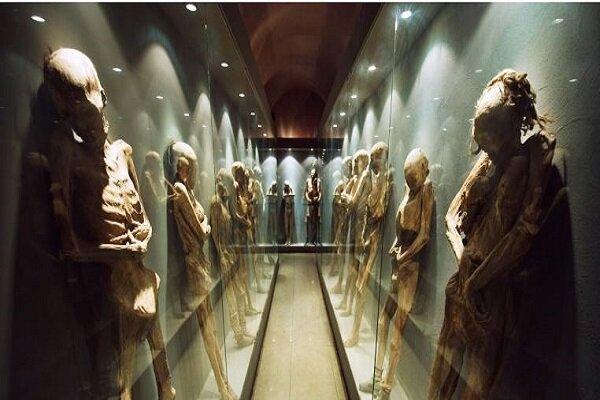 مومیایی,موزه در مکزیک