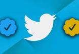 (Twitter Blue),شکست توییتر
