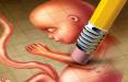 سقط جنین‌ها با «قرص‌های خونریزی‌دهنده»,امار سقط جنین در ایران