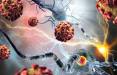 تومور,کشف راهی جدید برای مقابله با تومور سرطانی