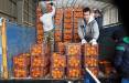 قیمت میوه,شکست دولت رئیسی در کنترل قیمت میوه نوروز 1402