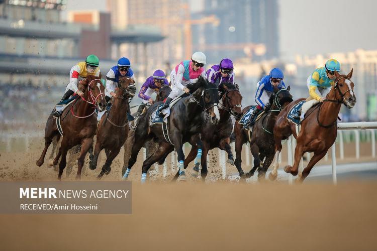 تصاویر جام جهانی اسب دوانی ۲۰۲۳ در دبی,عکس های جام جهانی اسب دوانی ۲۰۲۳ در دبی,تصاویری از جام جهانی اسب دوانی