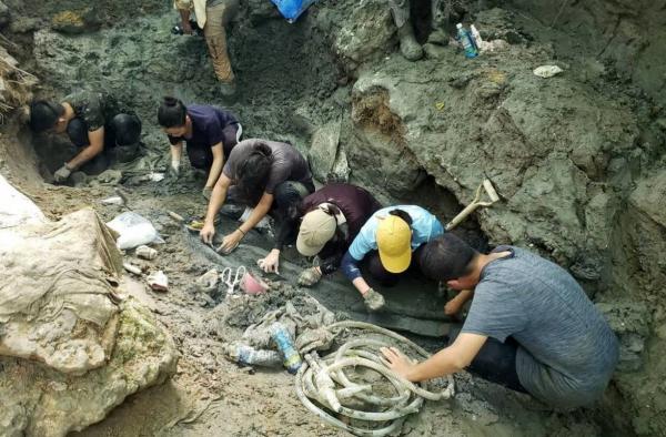 استخوان غول آسا در تایوان,کشف استخوان‌های غول‌آسای ۸۵ هزارساله در جنگل‌های تایوان