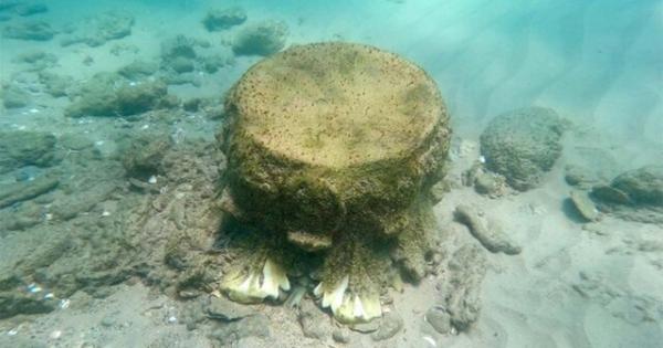 کشف بقایای یک کشتی ۱۸۰۰ ساله در دریای مدیترانه,کشتی قدیمی