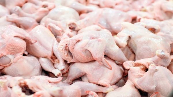 مرغ,هشدار وزارت کشاورزی به مرغداران