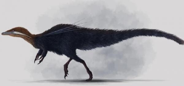 دایناسور,دایناسور110میلیون ساله
