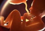 گشت مقابله با «سقط جنین»,شناسایی سقط جنینی ها