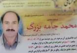 گزارش یک قتل در ملارد,بازداشت عضو سپاه و صدور قرار برای ۱۴ نفر برای قتل در ملارد