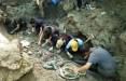 استخوان غول آسا در تایوان,کشف استخوان‌های غول‌آسای ۸۵ هزارساله در جنگل‌های تایوان
