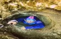 فیلم/ جرات عجیب غواص زن در زیر دریا