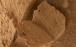 مریخ,کشف یک کتاب سنگی در مریخ