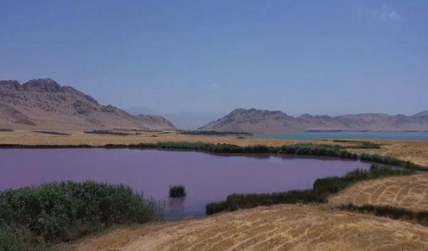 دریاچه رنگارنگ عراق,عکس دریاچه رنگارنگ عراق