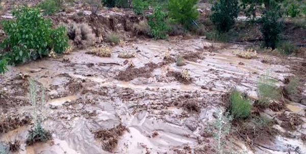 بارندگی سیل‌آسا در کوهبنان استان کرمان,سیل ایران در خرداد 1402