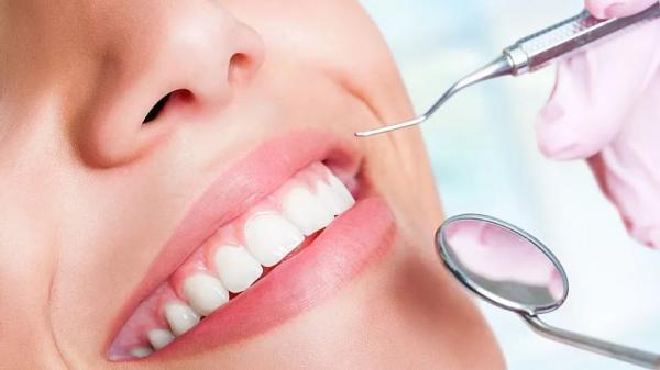دندان,امکان رشد مجدد دندان‌های پوسیده