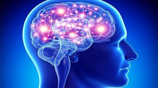 مغز,عوامل کوچک کردن مغز