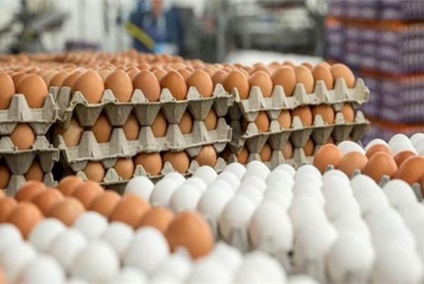تخم مرغ,تخم مرغ جایگزین گوشت قرمز ومرغ