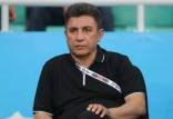 امیر قلعه نویی,سرمربی تیم ملی